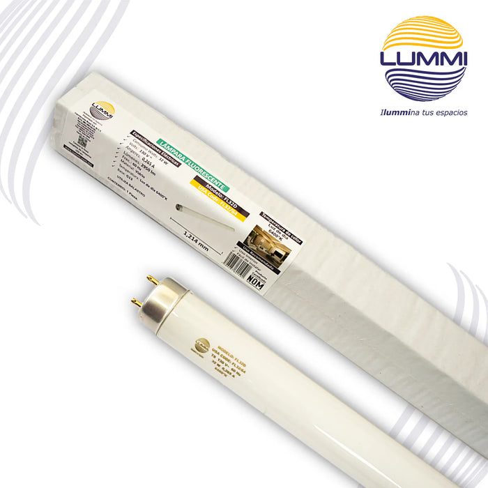 Tubo Fluorescente T8 32W Luz de Día G13 (FL32/64)
