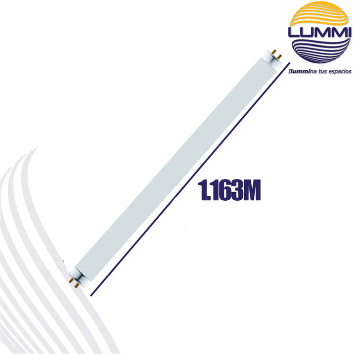Tubo fluorescente T5 base G5 luz de día 6400K