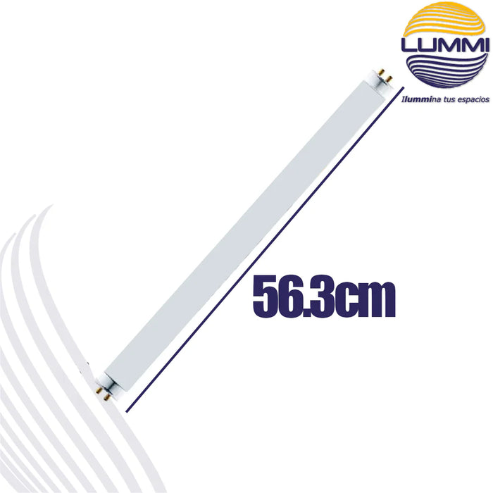 Tubo fluorescente T5 base G5 luz de día 6400K