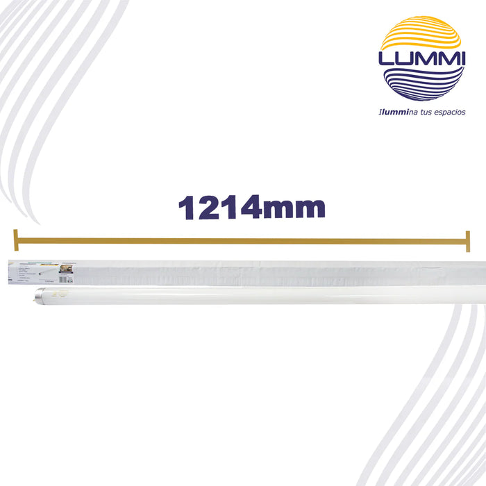 Tubo Fluorescente T8 32W Luz de Día G13 (FL32/64)