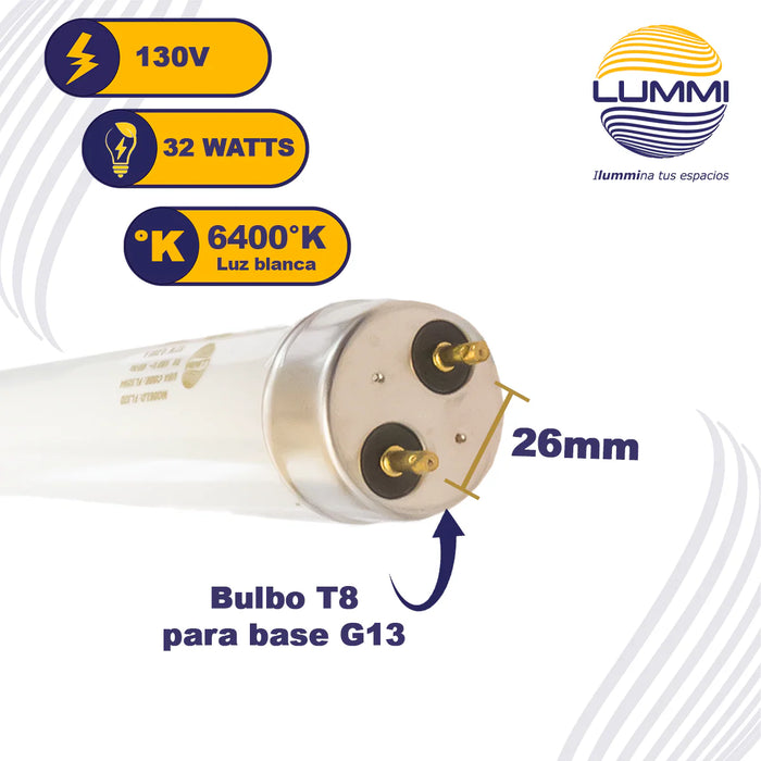 Tubo Fluorescente T8 32W Luz de Día G13 (FL32/64)