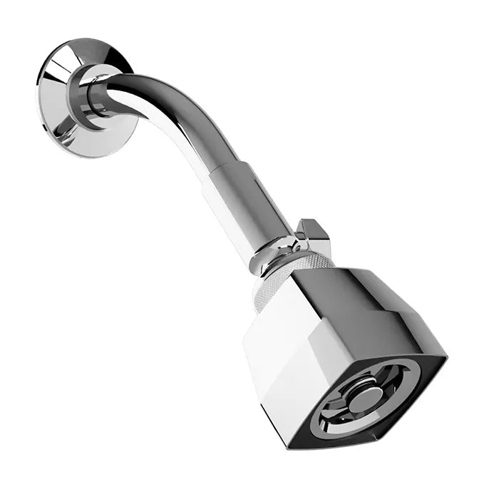 Regadera Autolimpiable con Válvula Helvex AC20-TR011